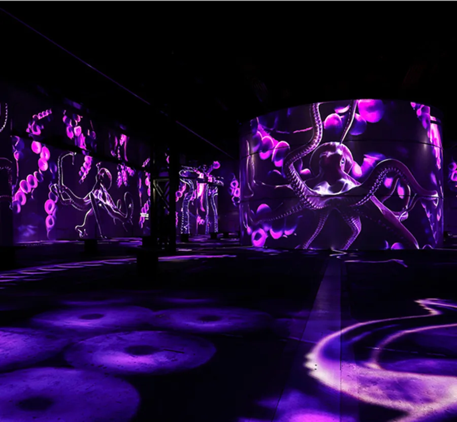 Practical info Ocean Wonders